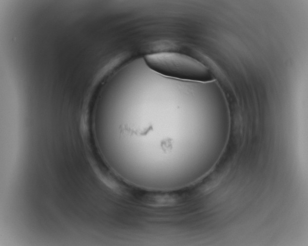 X0000113890443200910011326