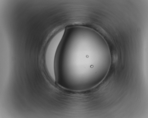 X0000113890444200910011326