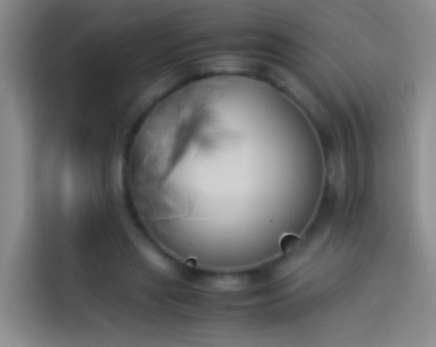 X0000113890445200910011326