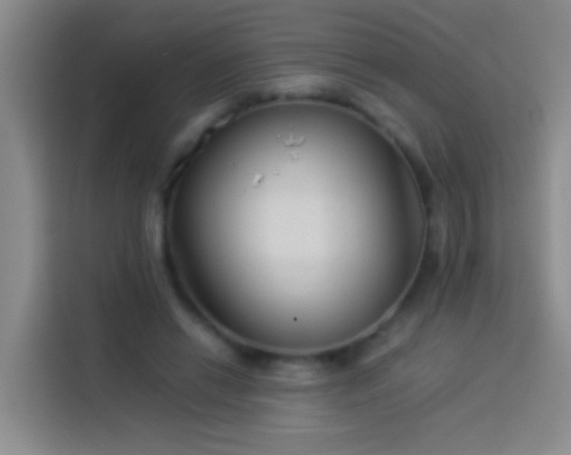 X0000113890446200910011326