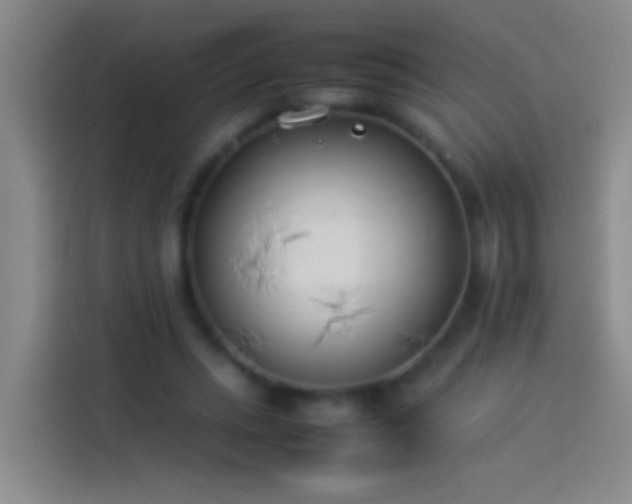 X0000113890447200910011326