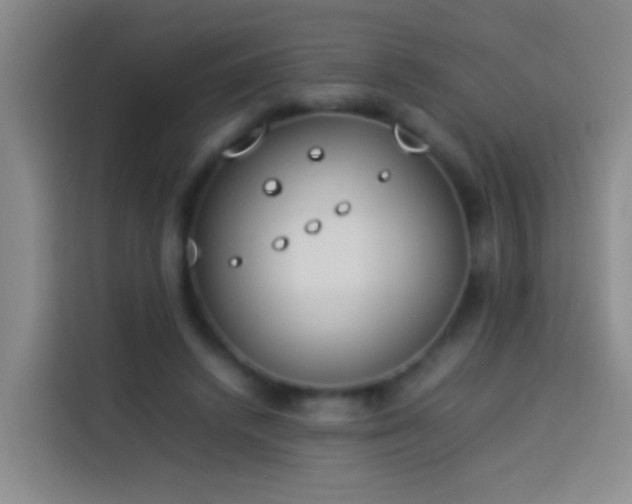 X0000113890448200910011326