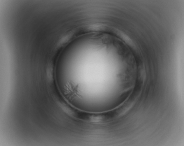 X0000113890450200910011326