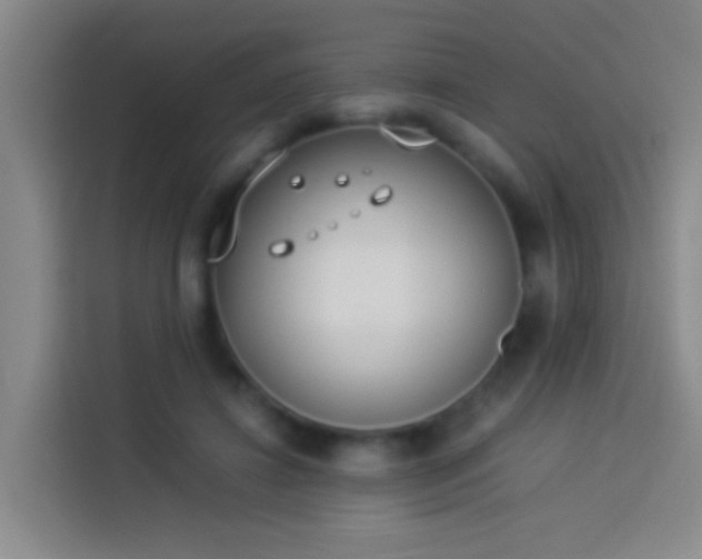 X0000113890452200910011326