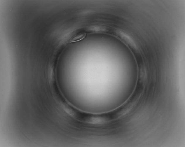 X0000113890453200910011326