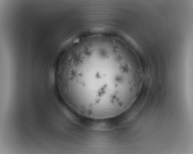 X0000113890454200910011326