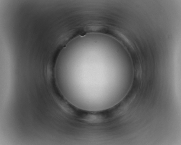 X0000113890455200910011326