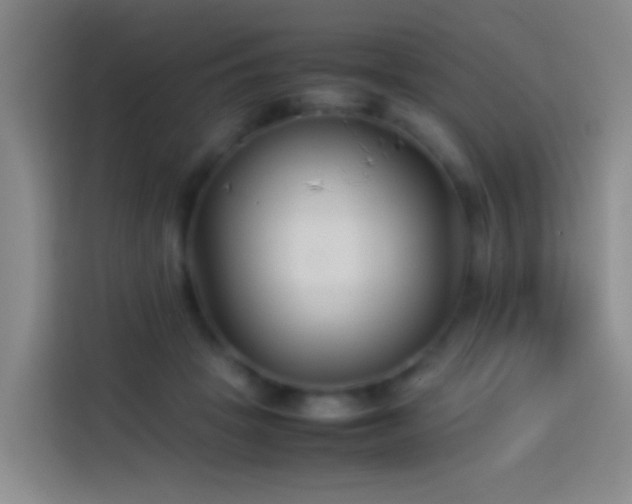 X0000113890457200910011326