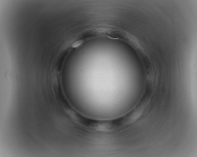 X0000113890462200910011326