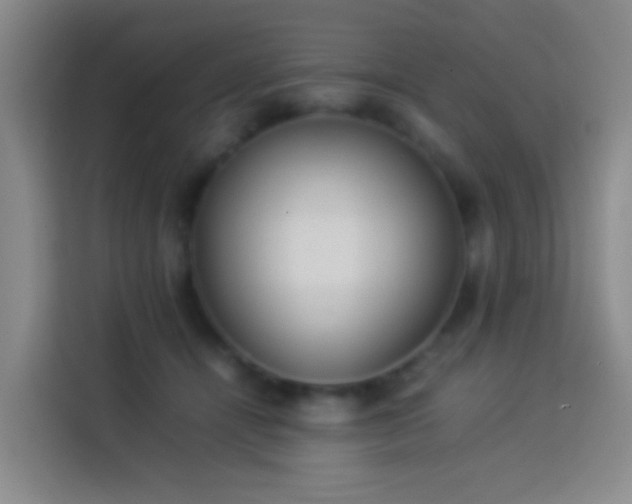 X0000113890464200910011326