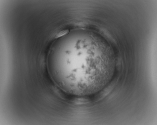X0000113890466200910011326