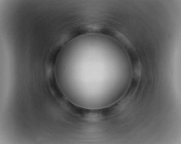 X0000113890468200910011326