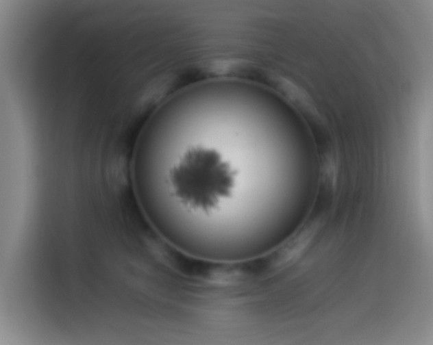 X0000113890470200910011326