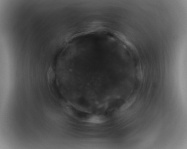 X0000113890471200910011326