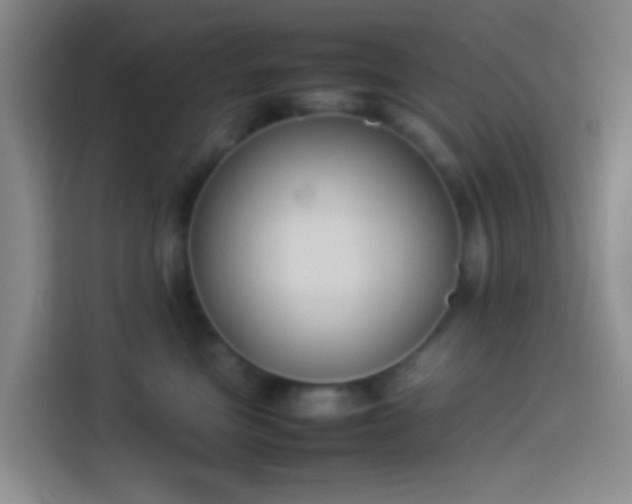 X0000113890473200910011326