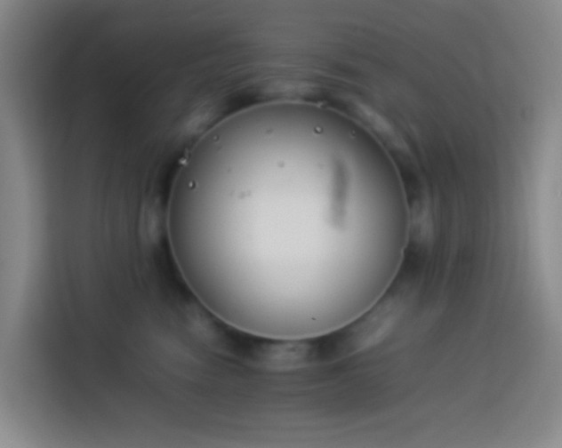 X0000113890474200910011326