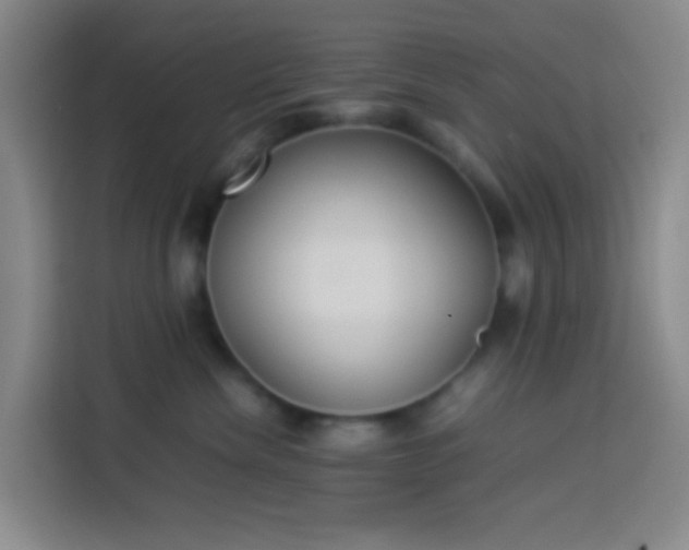 X0000113890476200910011326