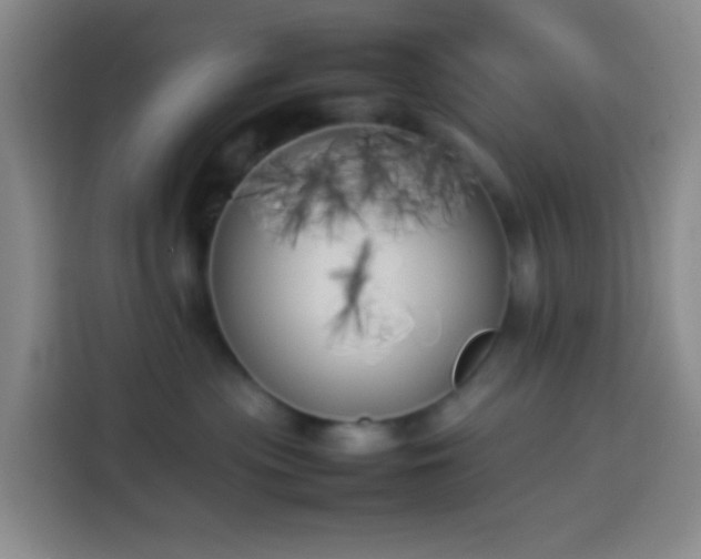 X0000113890477200910011326