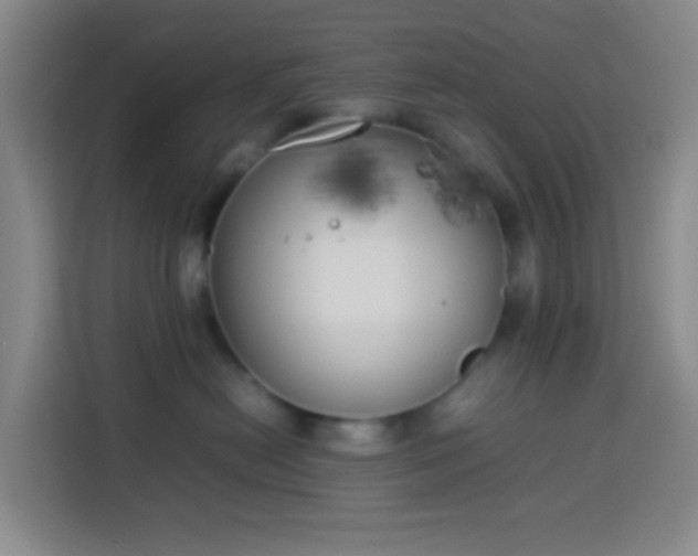 X0000113890478200910011326