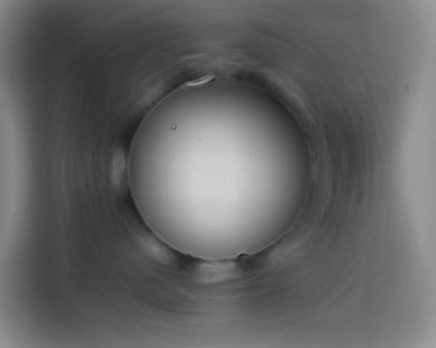 X0000113890480200910011326