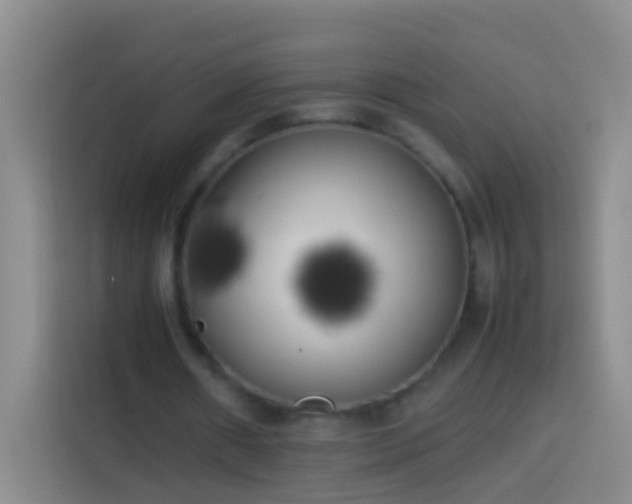 X0000113890482200910011326