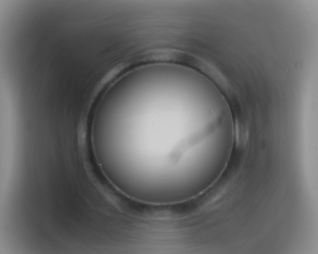 X0000113890483200910011325