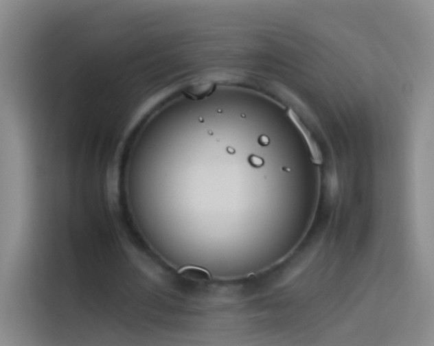 X0000113890484200910011325