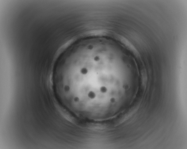 X0000113890486200910011325