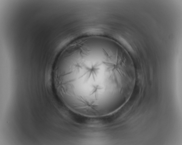 X0000113890487200910011325