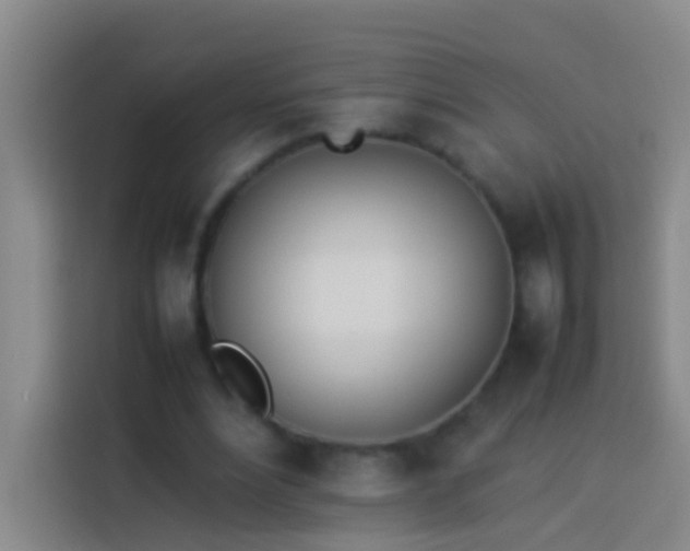 X0000113890488200910011325