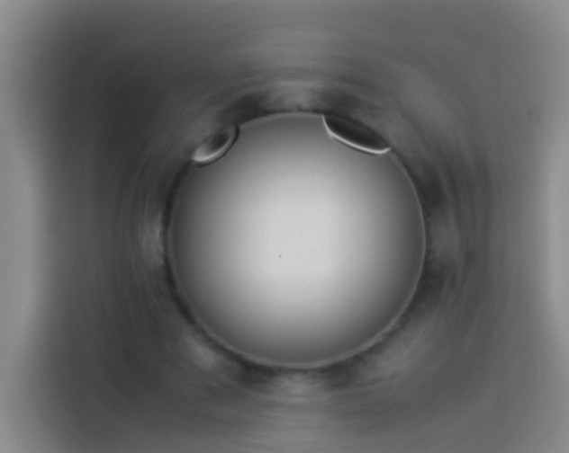 X0000113890489200910011325