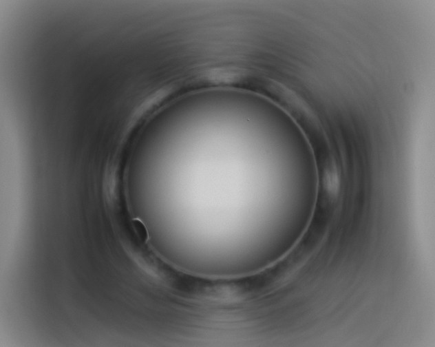 X0000113890492200910011325