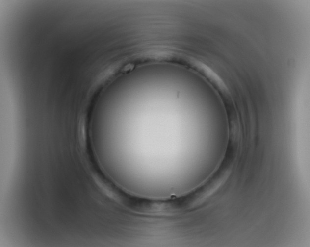 X0000113890493200910011325