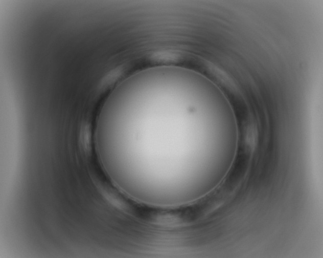 X0000113890494200910011325