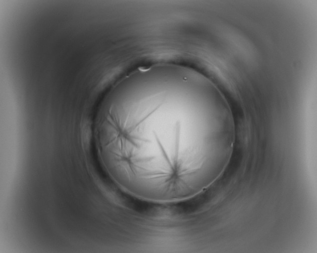X0000113890495200910011325