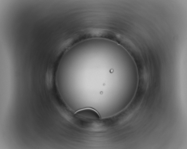 X0000113890496200910011325