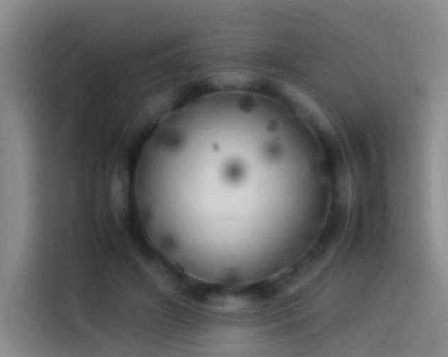 X0000113890498200910011325