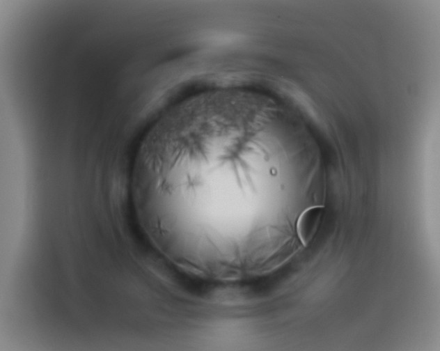 X0000113890499200910011325