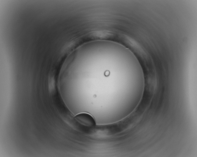 X0000113890500200910011325