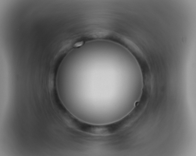 X0000113890501200910011325