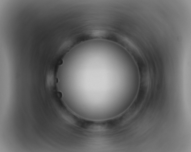 X0000113890502200910011325