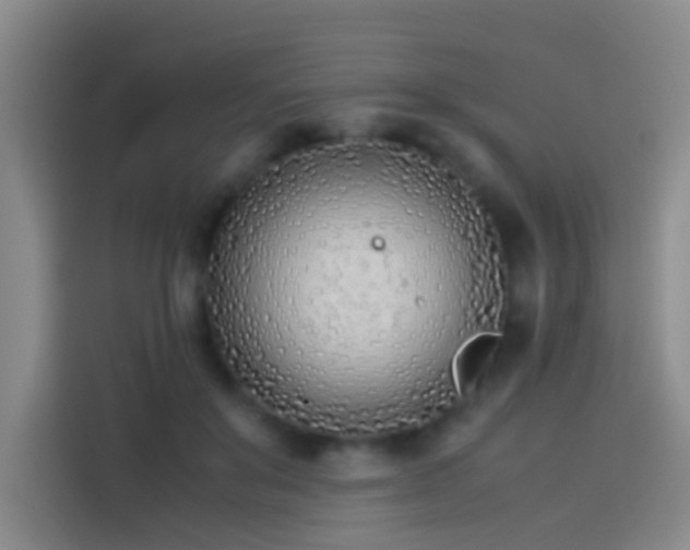 X0000113890503200910011325