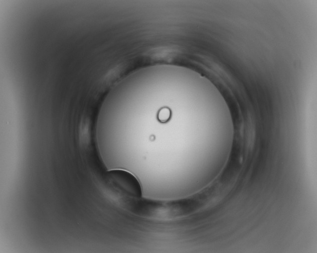 X0000113890504200910011325