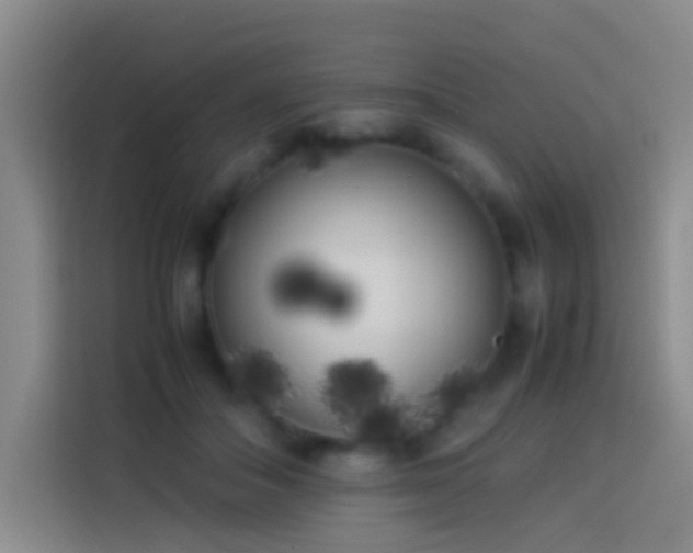 X0000113890506200910011325