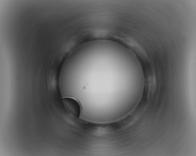 X0000113890508200910011325