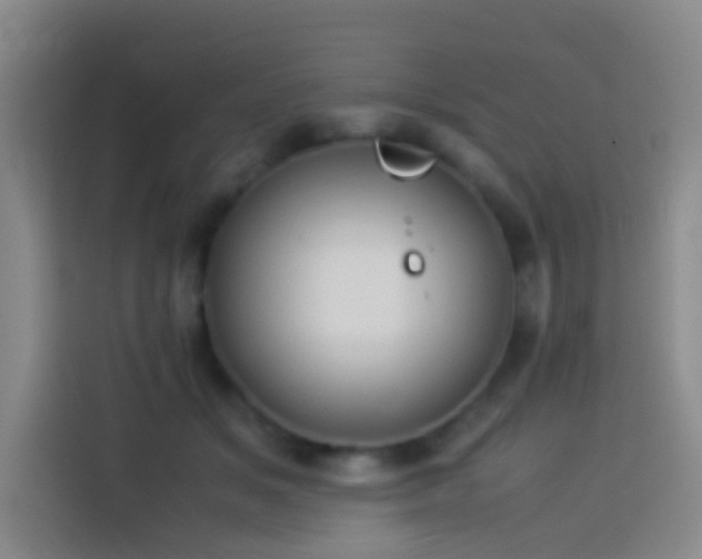 X0000113890509200910011325