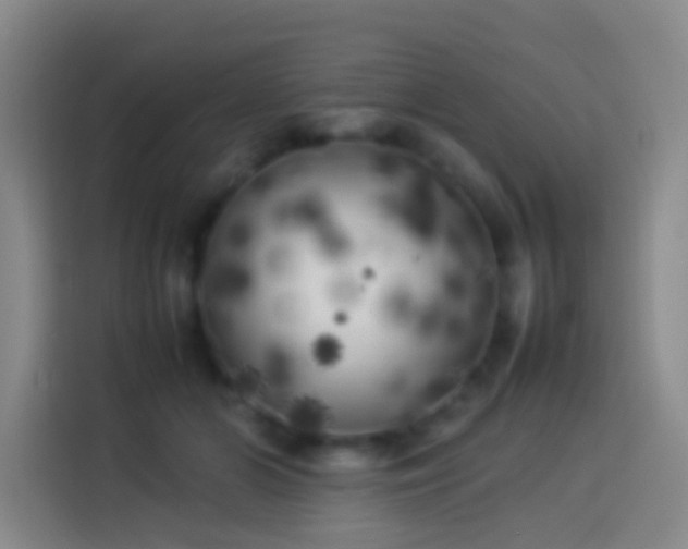 X0000113890510200910011325