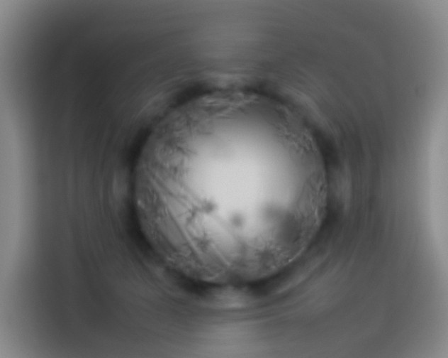 X0000113890511200910011325