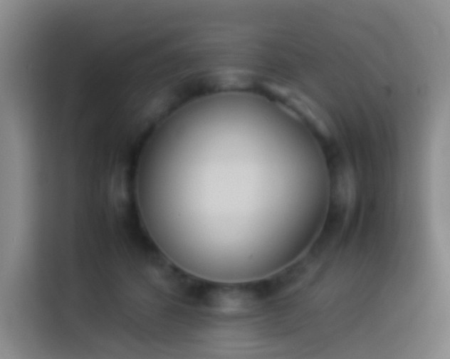 X0000113890512200910011325