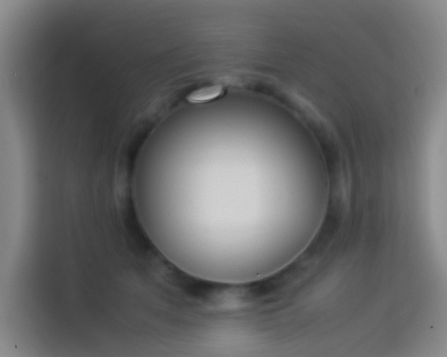 X0000113890513200910011325